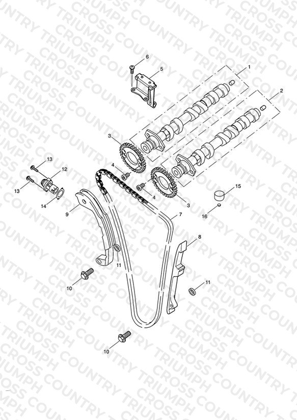 Camshaft & Camshaft Drive