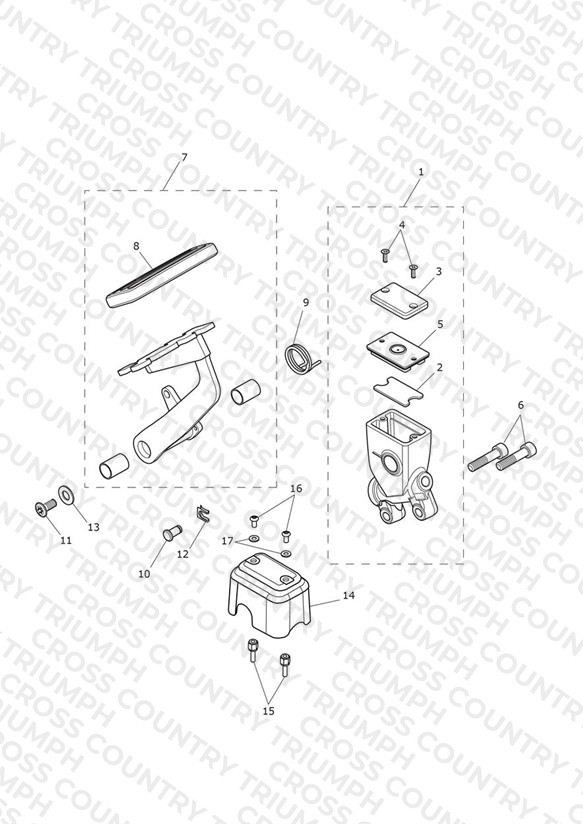 Rear Brake Master Cylinder, Reservoir & Pedal