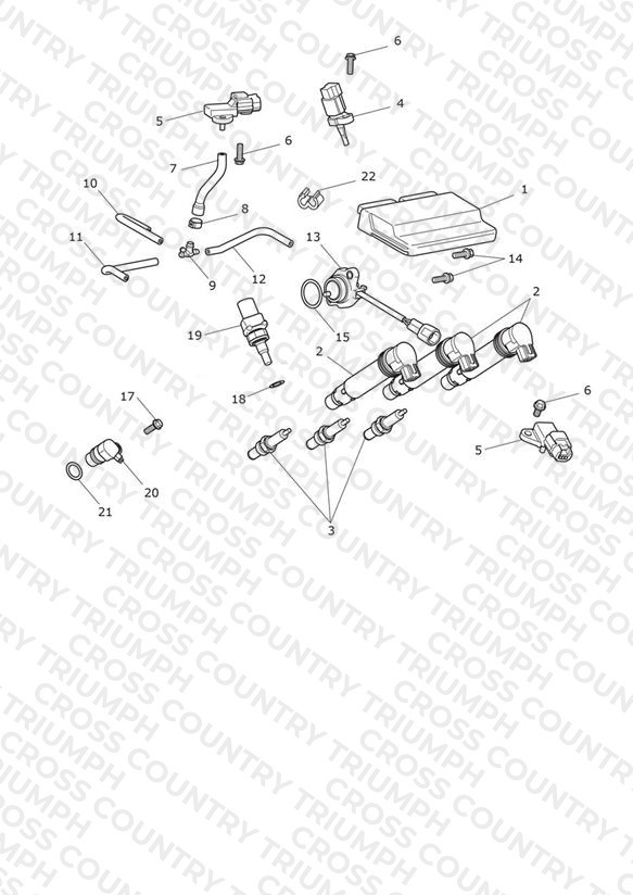Engine Management System