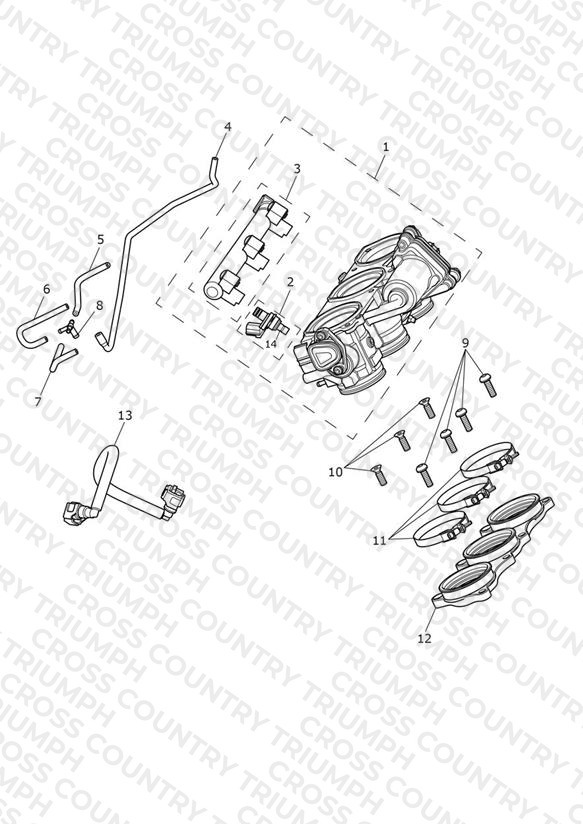 Throttles, Injectors and Fuel Rail