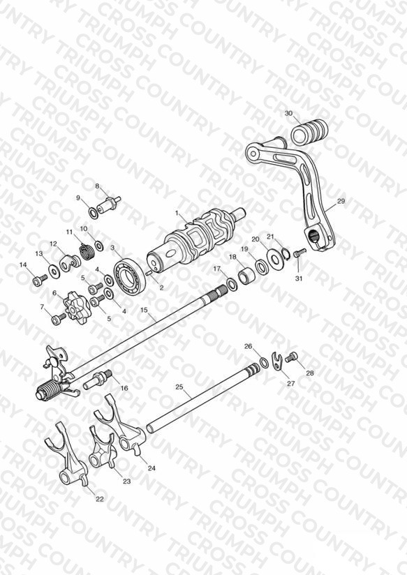 Gear Selectors and Pedal - Daytona 600