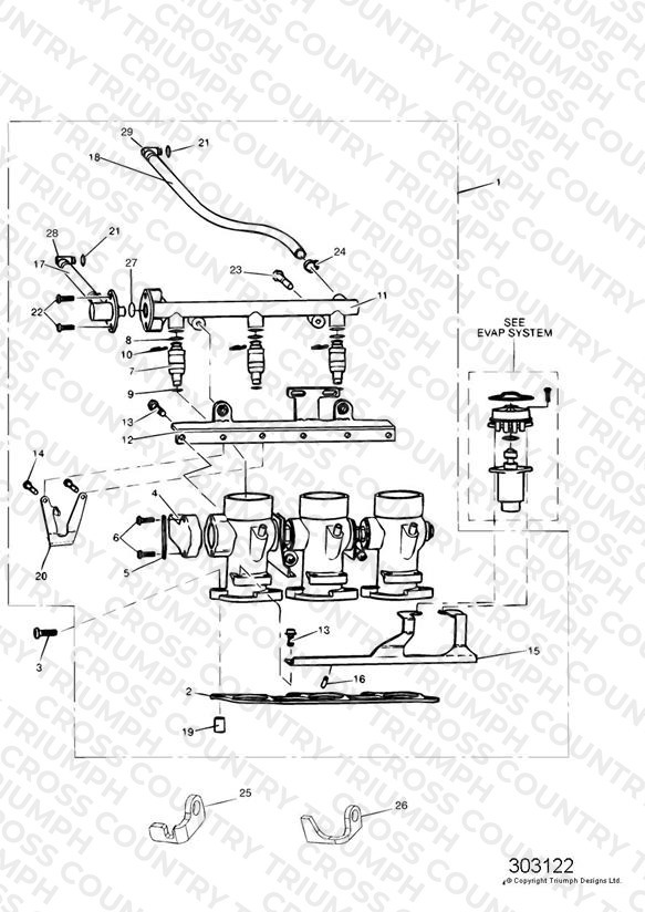 Throttles/Injectors and Fuel Rail