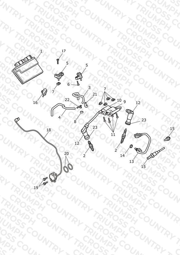 Engine Management System