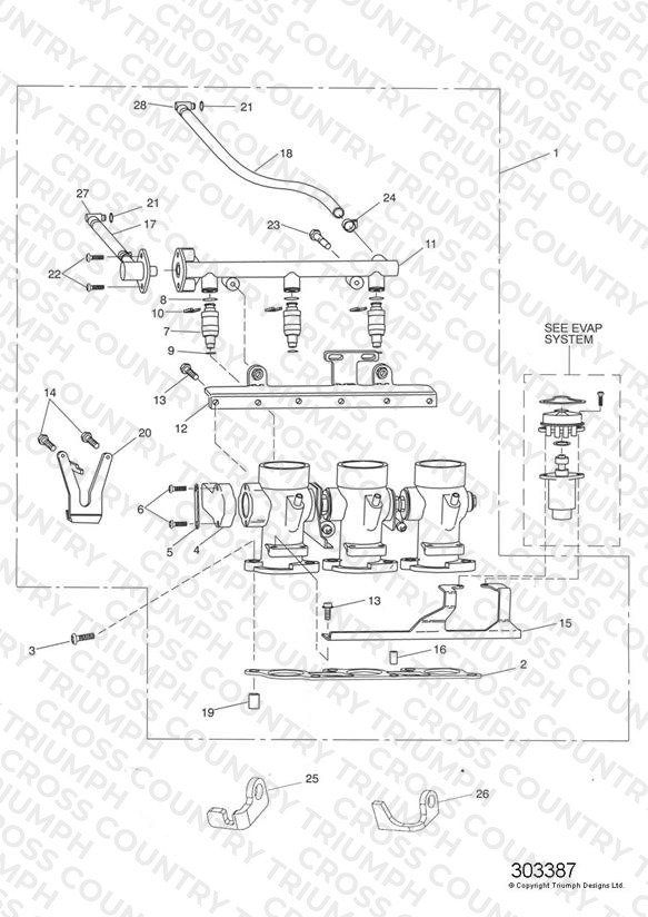 Throttles/Injectors and Fuel Rail