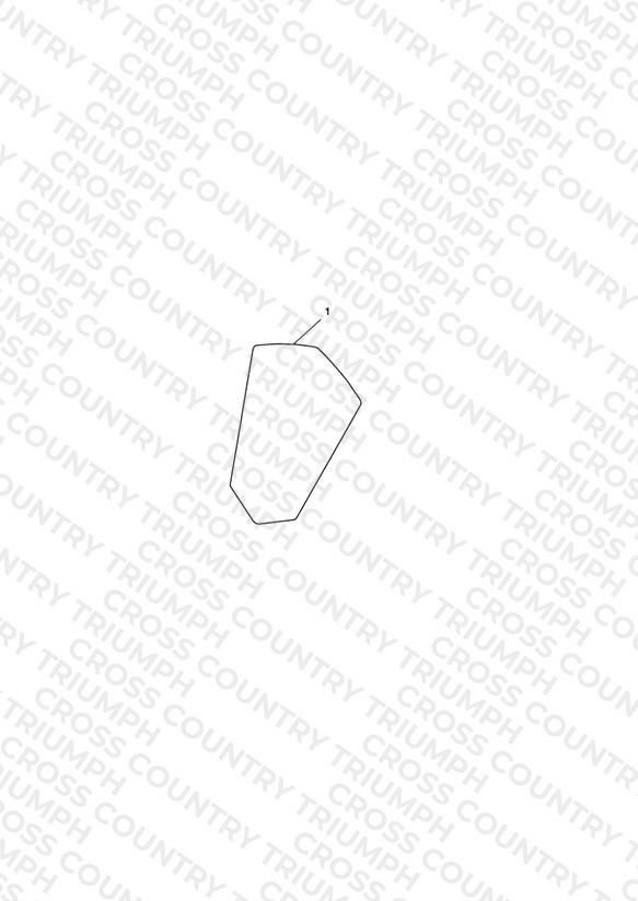Tank Pad, Carbon Fibre
