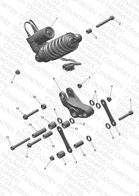 RSU & Linkage