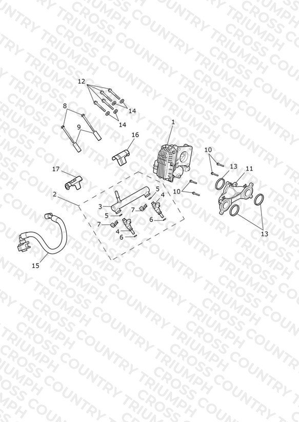Throttle Bodies