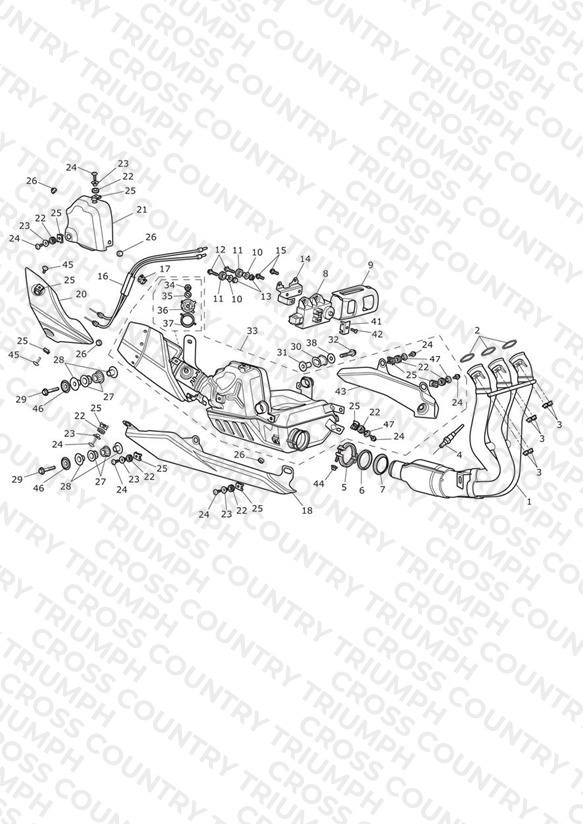 Exhaust System