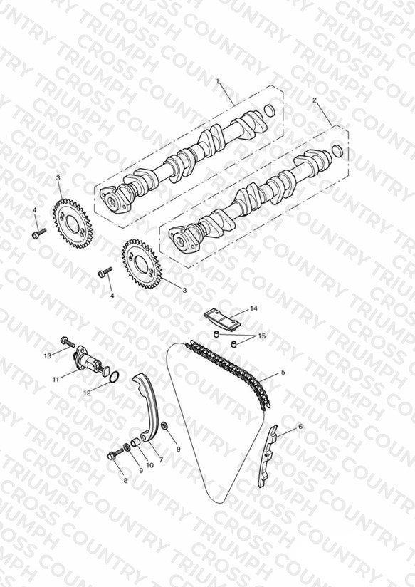 Camshaft and Drive