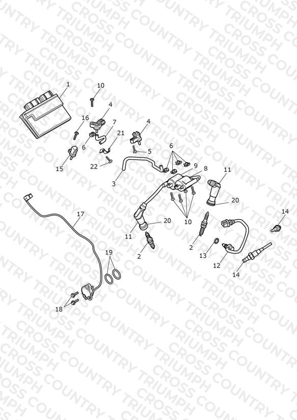 Engine Management System