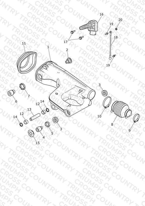 Rear Swingarm