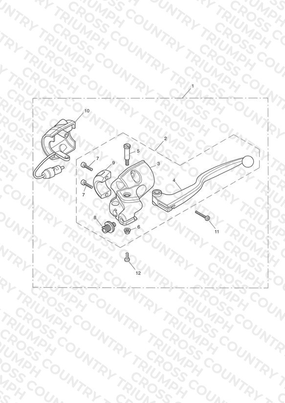 Clutch Controls and Switches - Bonneville T100