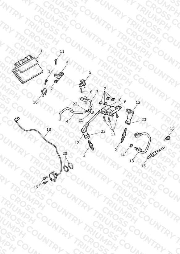 Engine Management System