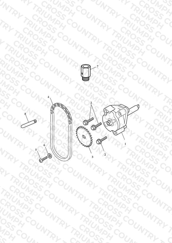 Oil Pump & Drive
