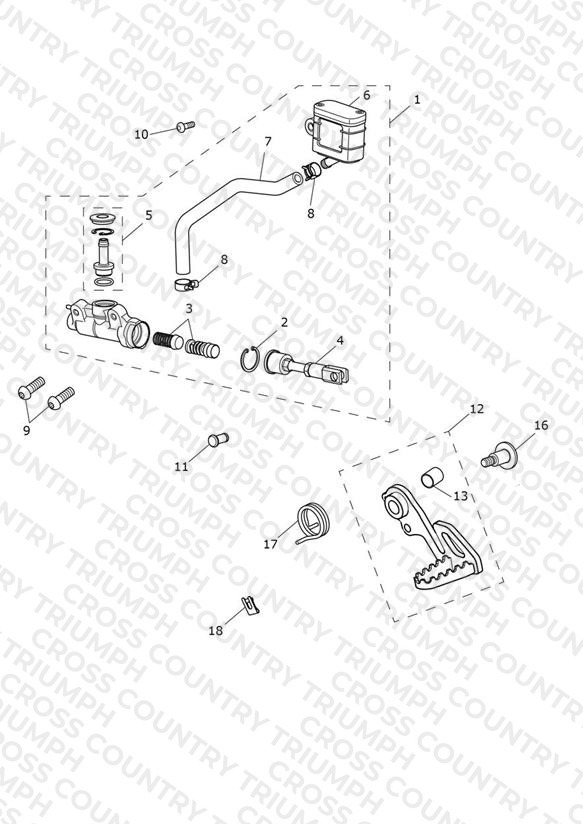 Rear Brake Master Cylinder, Reservoir & Pedal