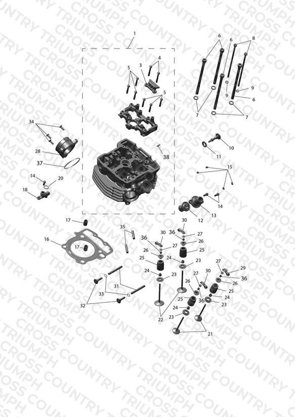 Cylinder Head & Valve Drive