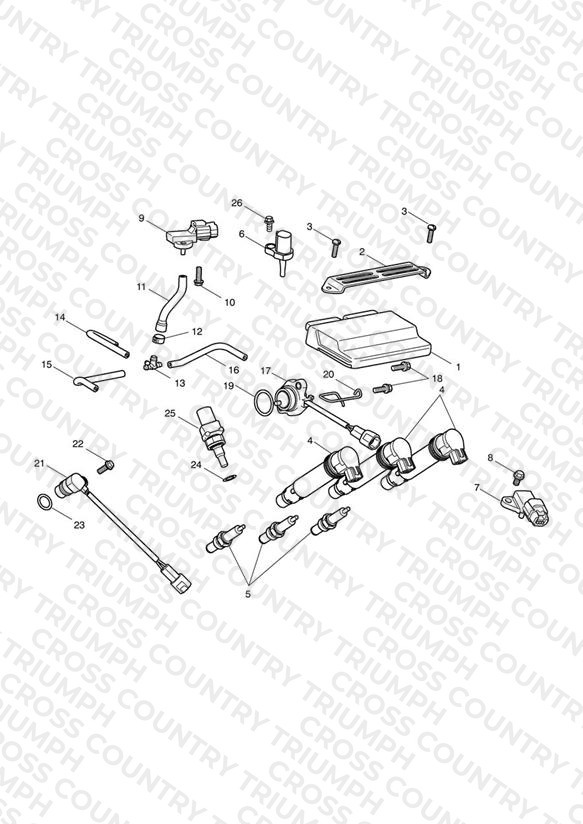Engine Management System