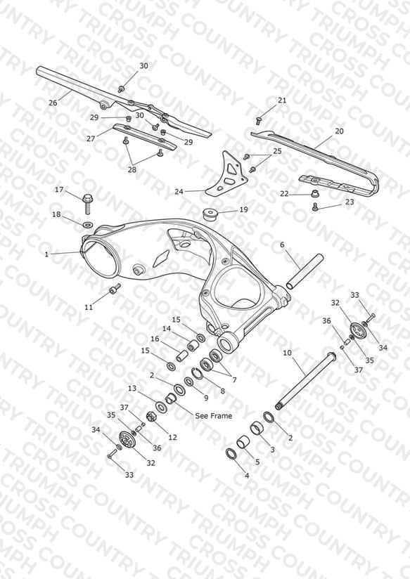Rear Swingarm