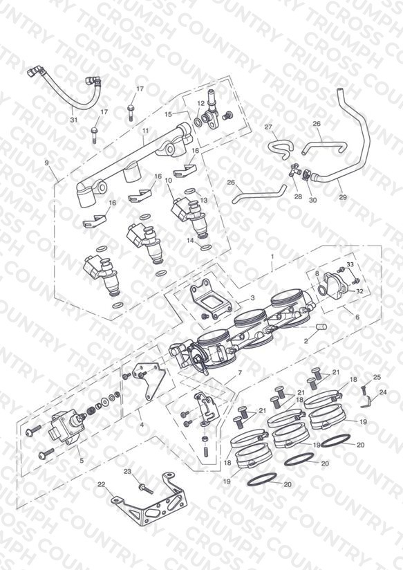 Throttles, Injectors and Fuel Rail