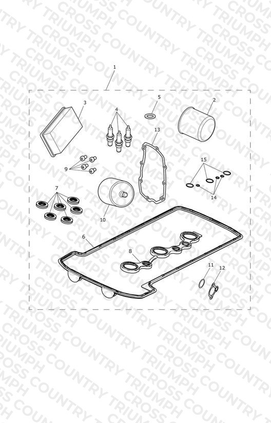 Engine Service Kit