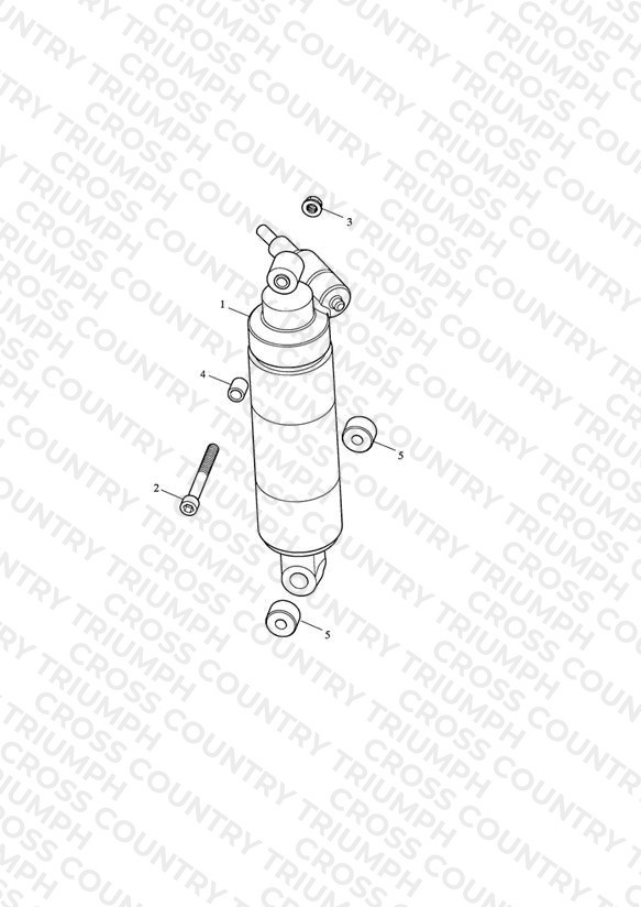Rear Suspension Unit