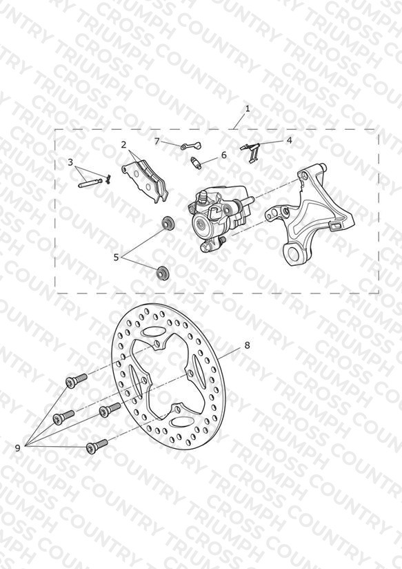 Rear Brake & Disc