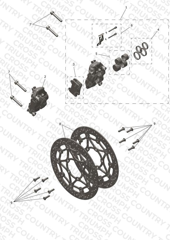 Front Brake Caliper & Discs