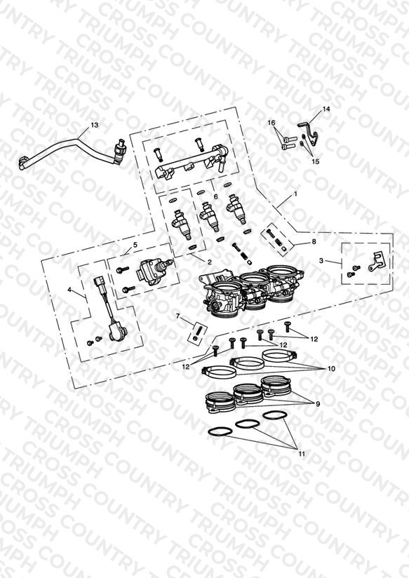 Throttles, Injectors and Fuel Rail