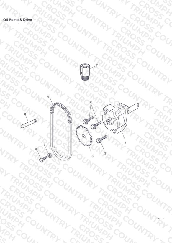 Oil Pump & Drive