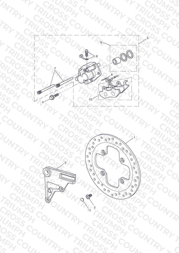 Rear Brake & Disc