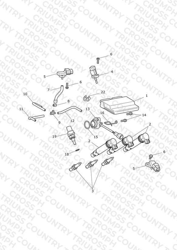 Engine Management System