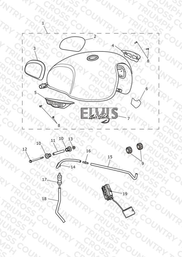 Fuel Tank - T120 Elvis Edition