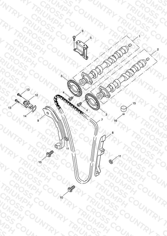 Camshaft & Camshaft Drive