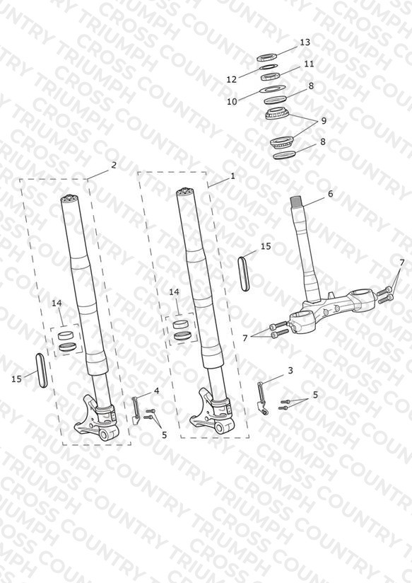 Front Forks & Lower Yoke