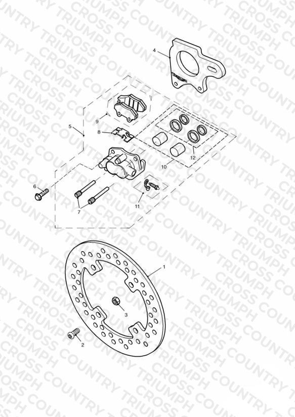 Rear Brake Disc and Caliper