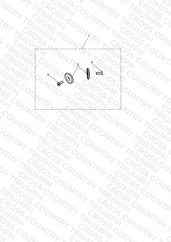 Finisher, Bar End, Pair, Clear