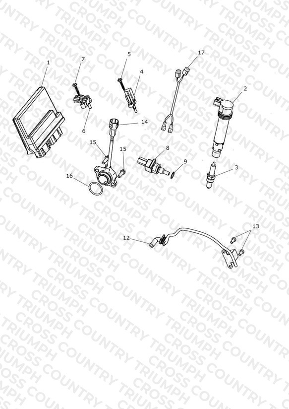 Engine Management System