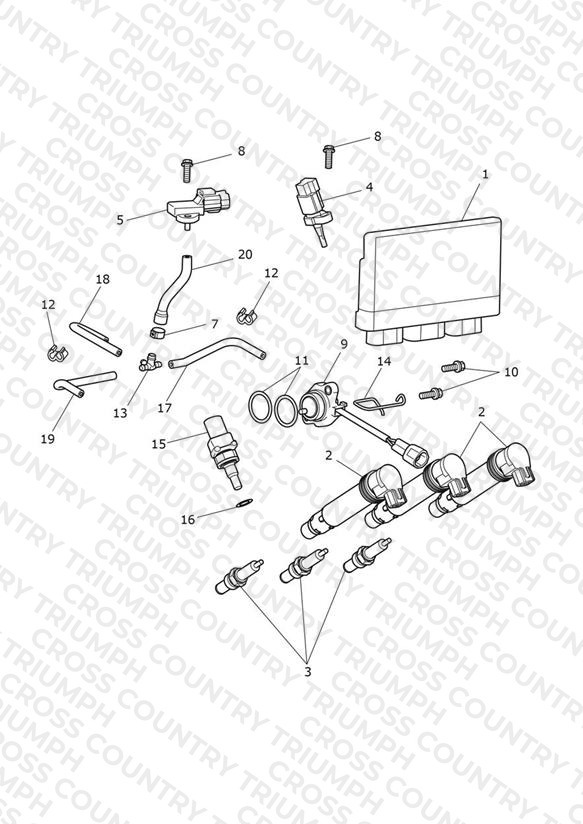 Engine Management System