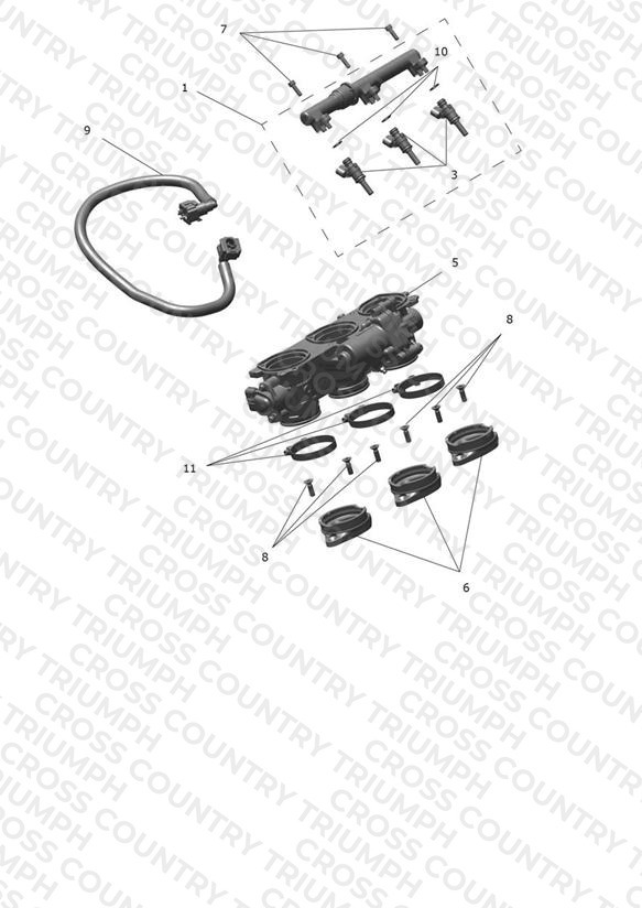 Throttle Bodies