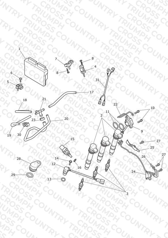Engine Management System