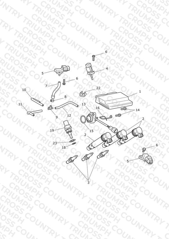 Engine Management System