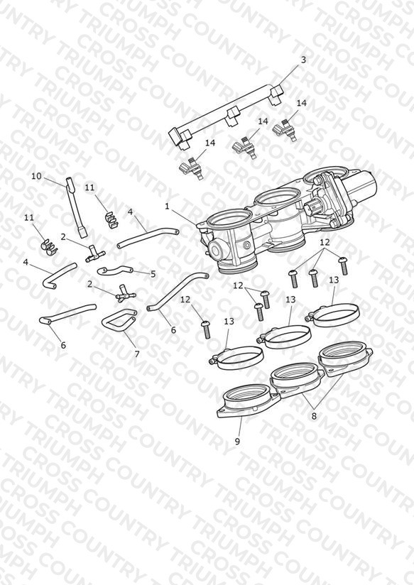 Throttles, Injectors & Fuel Rails
