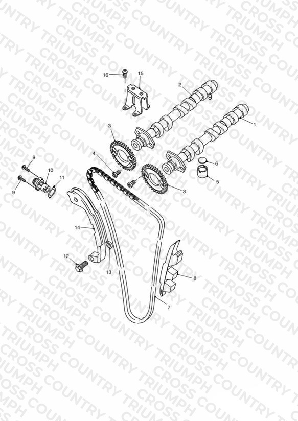 Camshaft and Drive
