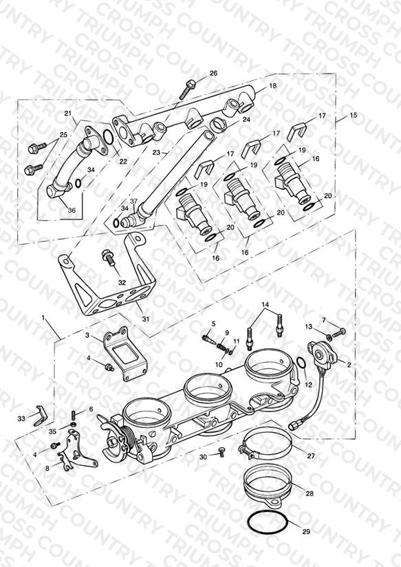 Throttles/Injectors and Fuel Rail > 207554