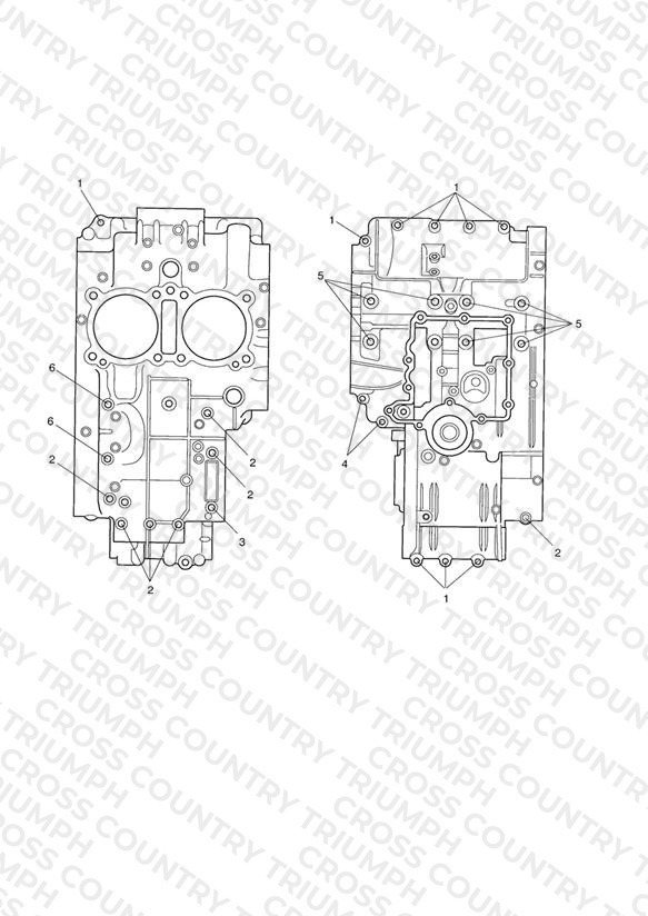 Crankcase Bolts