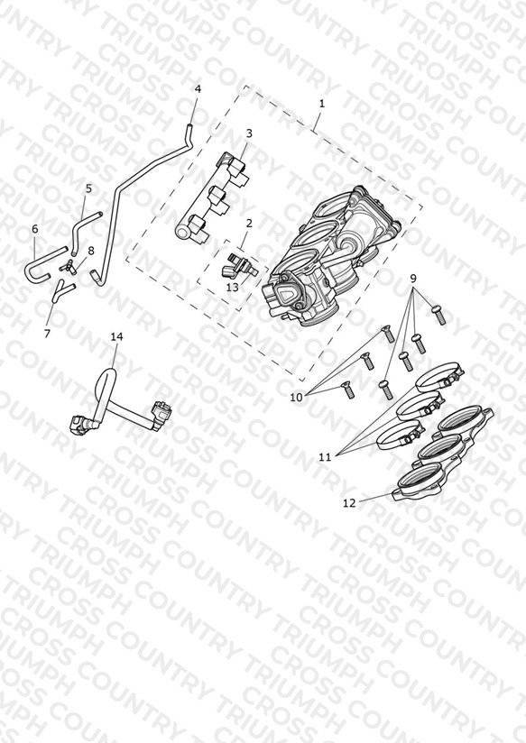 Throttles, Injectors and Fuel Rail