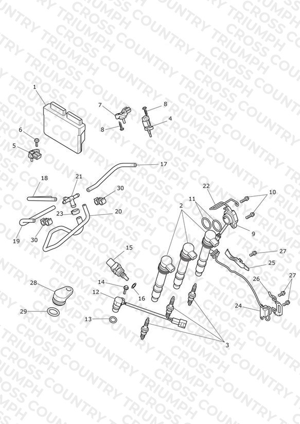 Engine Management System