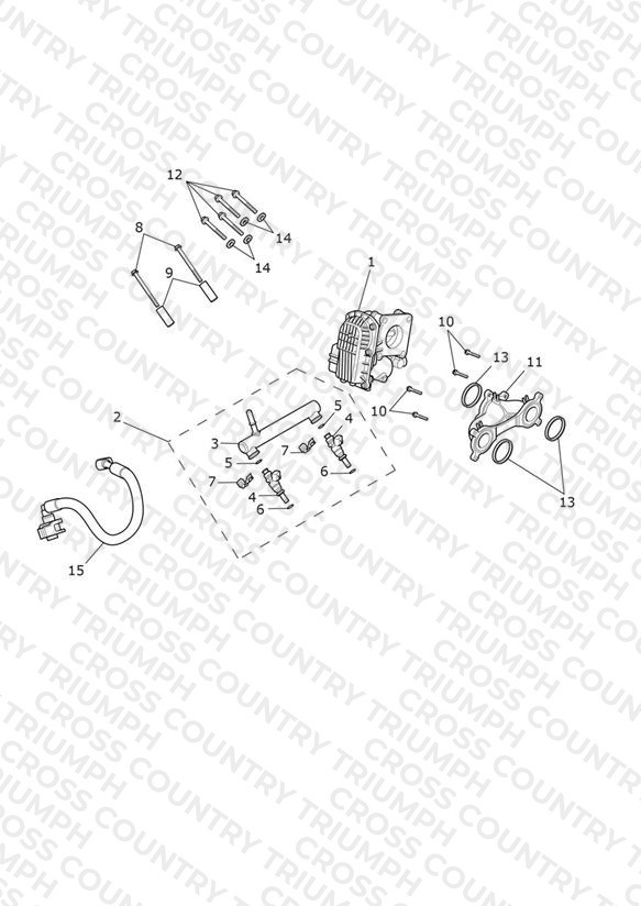 Throttle Bodies