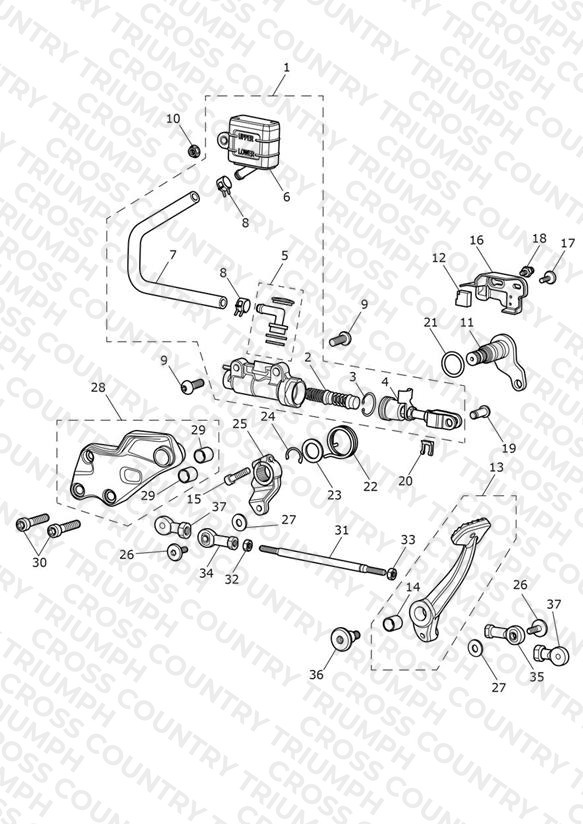 Rear Brake Master Cylinder, Reservoir & Pedal
