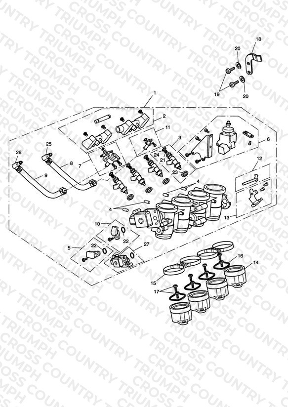 Throttles/Injectors and Fuel Rails